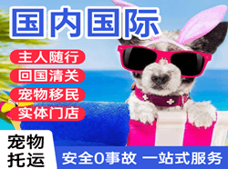 九寨黄龙航空货运国际宠物托运 【国